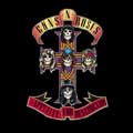 「APPETITE FOR DESTRUCTION」 GUNS N’ ROSES